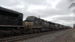Dash Nines In Tow